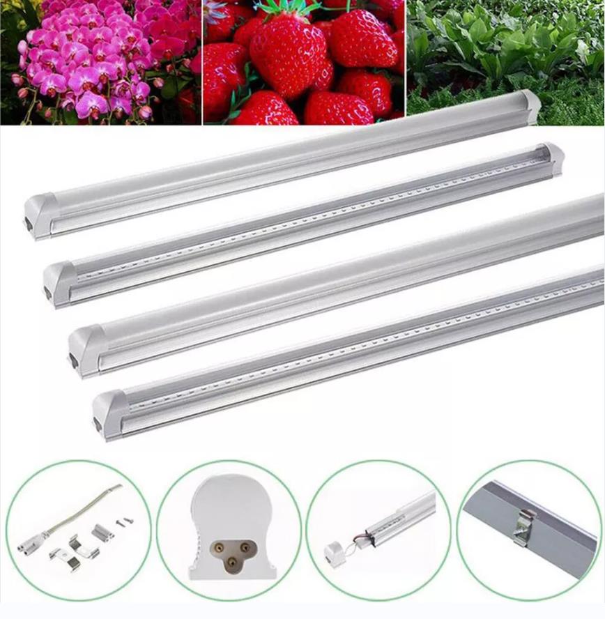 Grow light installation 1