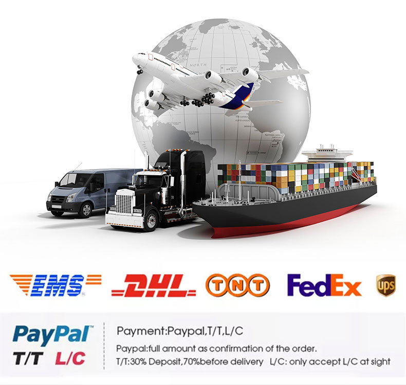 Logistics and Payment Methods
