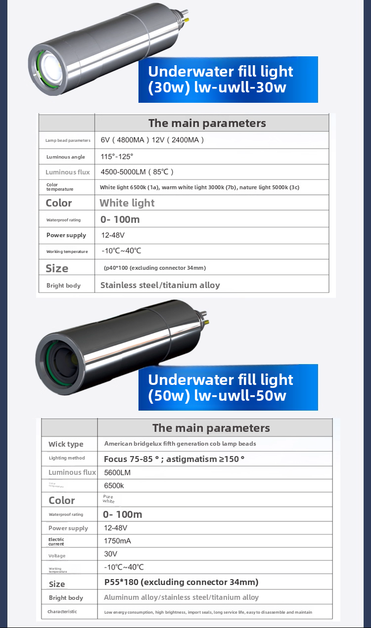 Marine Grade 316L Waterproof 10W LED Underwater Light