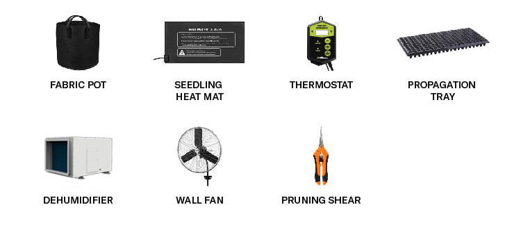 Related Product 4