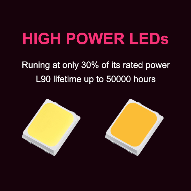 Grow Light Gallery 5