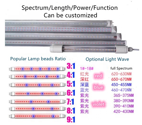 600w Full Spectrum l Led Grow Light Bulb for 4x4 Tent Lm301h Lm301h Lm301b Led Grow Light