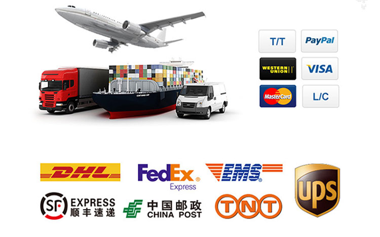 Carton Packaging & Shipment Process