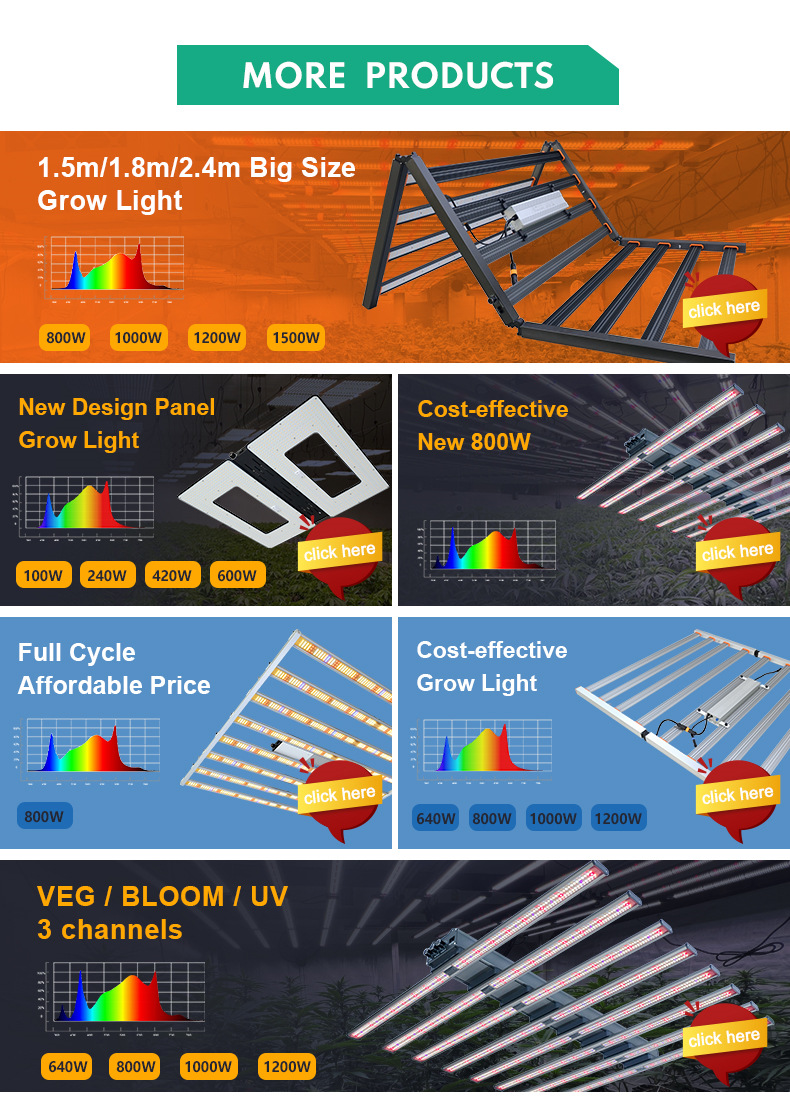 Horticultural Light Catalog 1