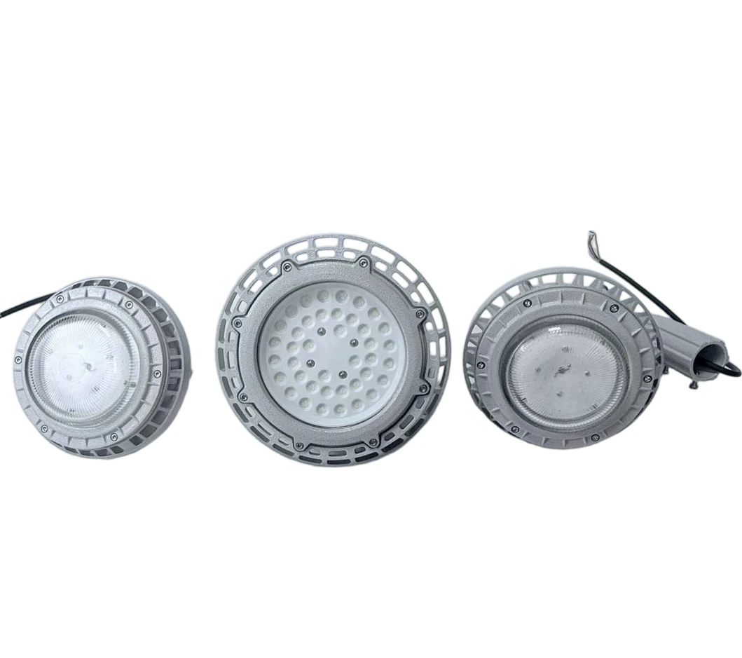 Explosion Proof Light Detail 5