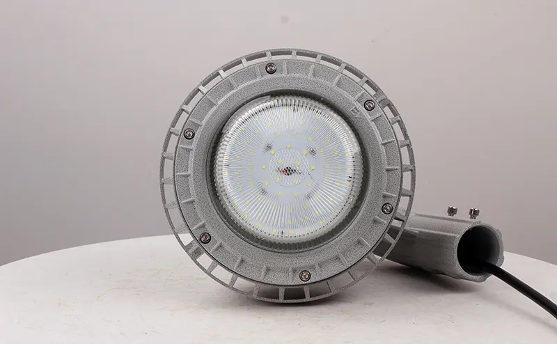 Explosion Proof Light Detail 2