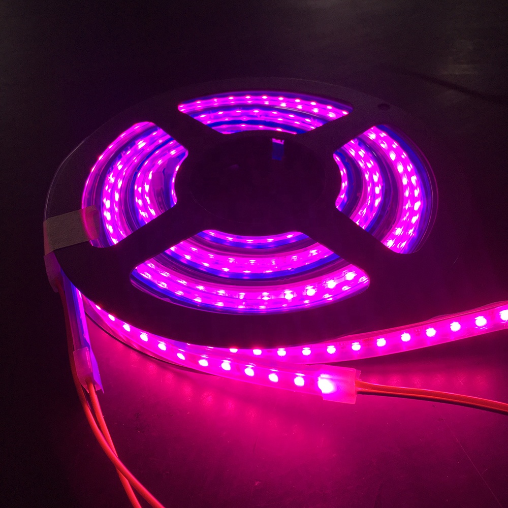 Waterproof 5v 12v 24v 2835 5050 pink Color Led Grow Plants Strip Light