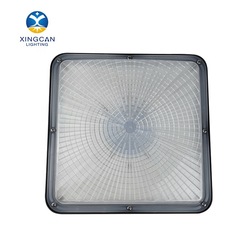LED Warehouse Canopy Light 2