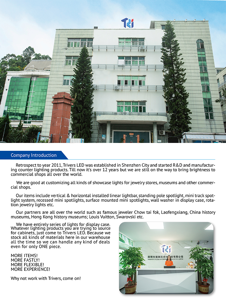 Company Profile 1