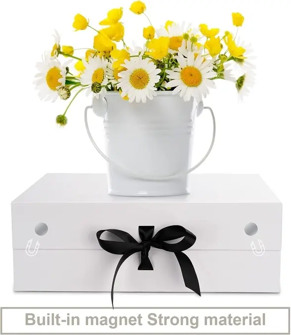 Featured Suitcase Box