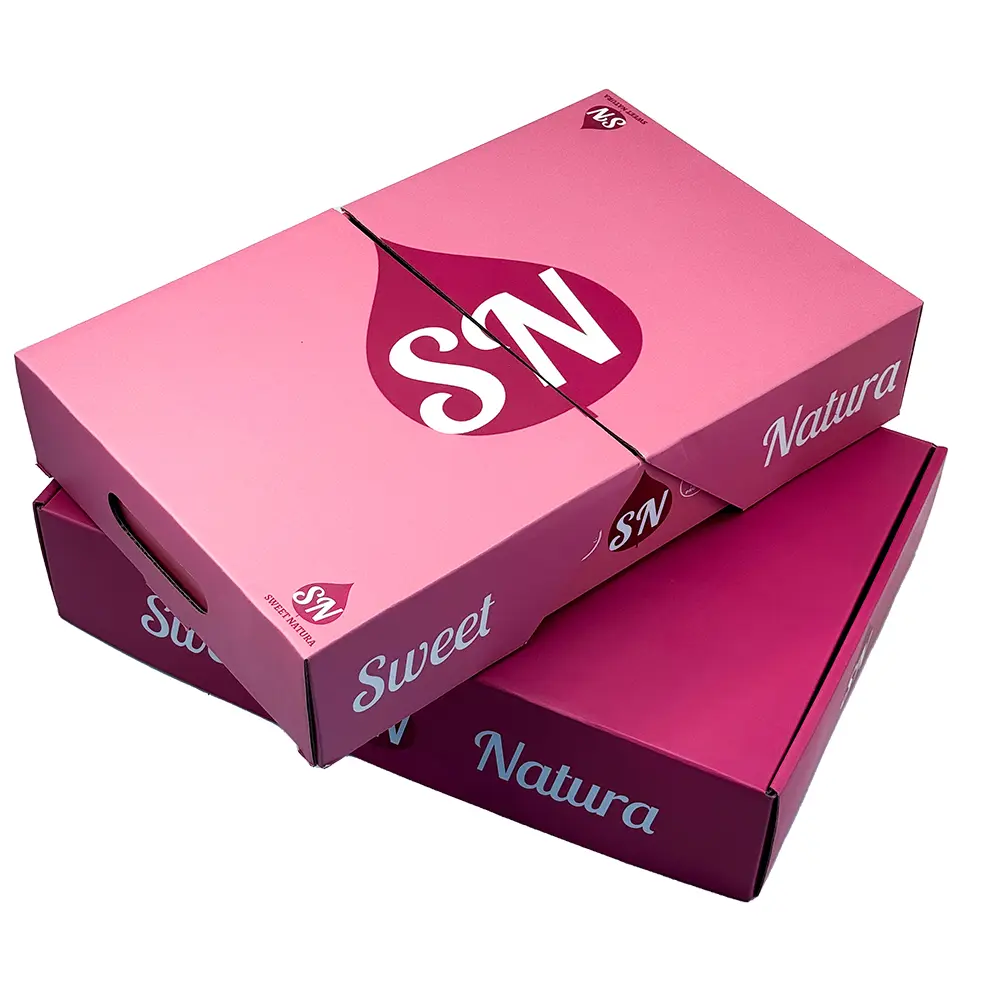 China Suppliers Factory Disposable Kraft Paper Picnic Box for Sushi, Sandwiches, Biscuits & Outdoor Meals