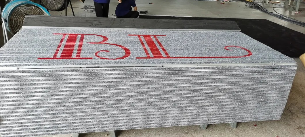 Alfombra de Piso Exterior de Alta Resistencia para Uso Versátil