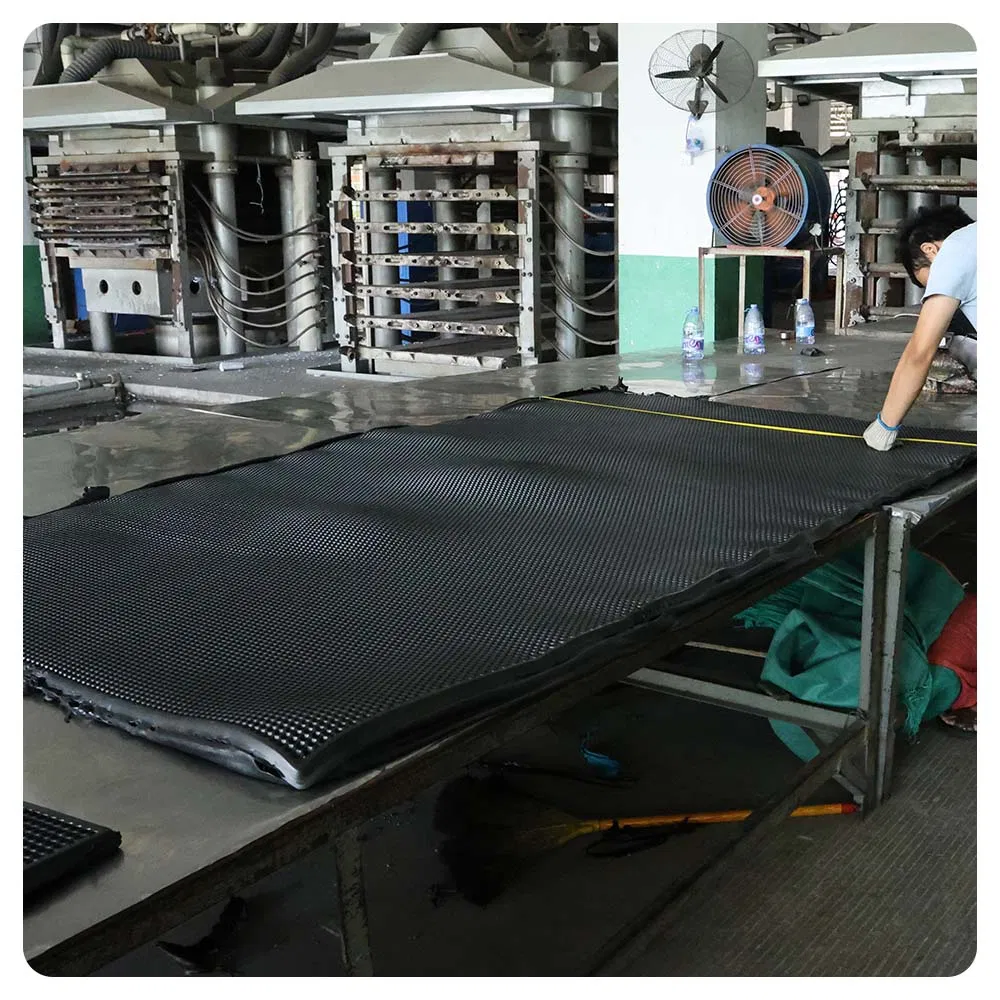 Juego de alfombrillas de piso de PVC a medida para automóvil, alfombrillas universales de EVA