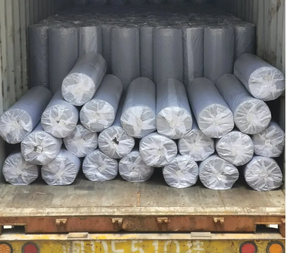 Alfombrilla de coche de tamaño personalizado, protección para todas las condiciones climáticas, alfombrillas de suelo de material EVA recortables