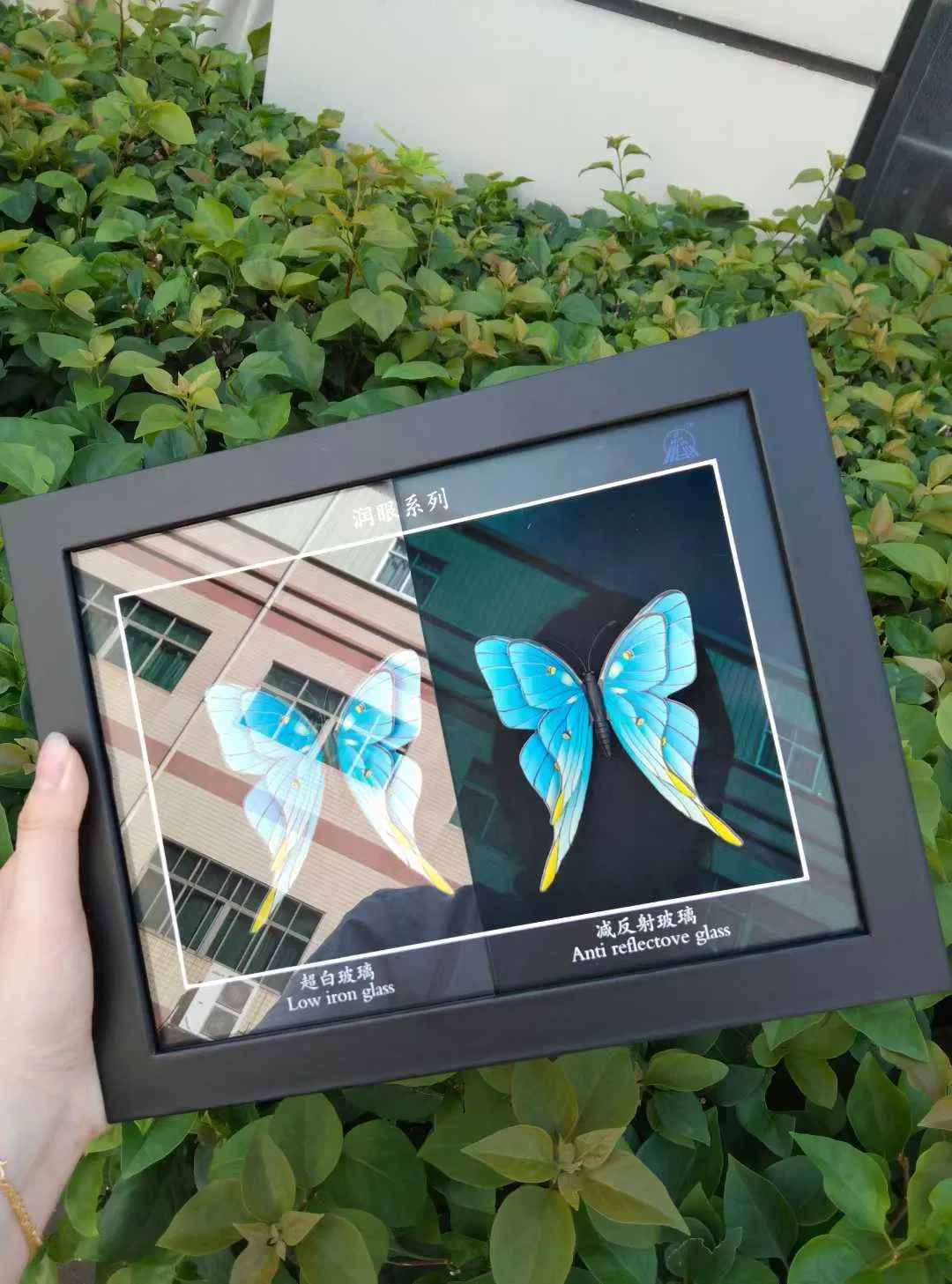 5mm 6mm 8mm Ultra Clear Anti Reflective Glass for Museum Display Cabinet