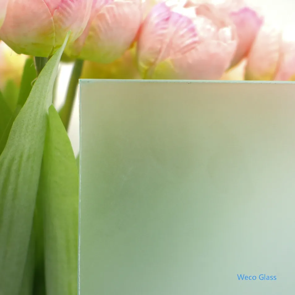 Acid Etched Glass Detail 1