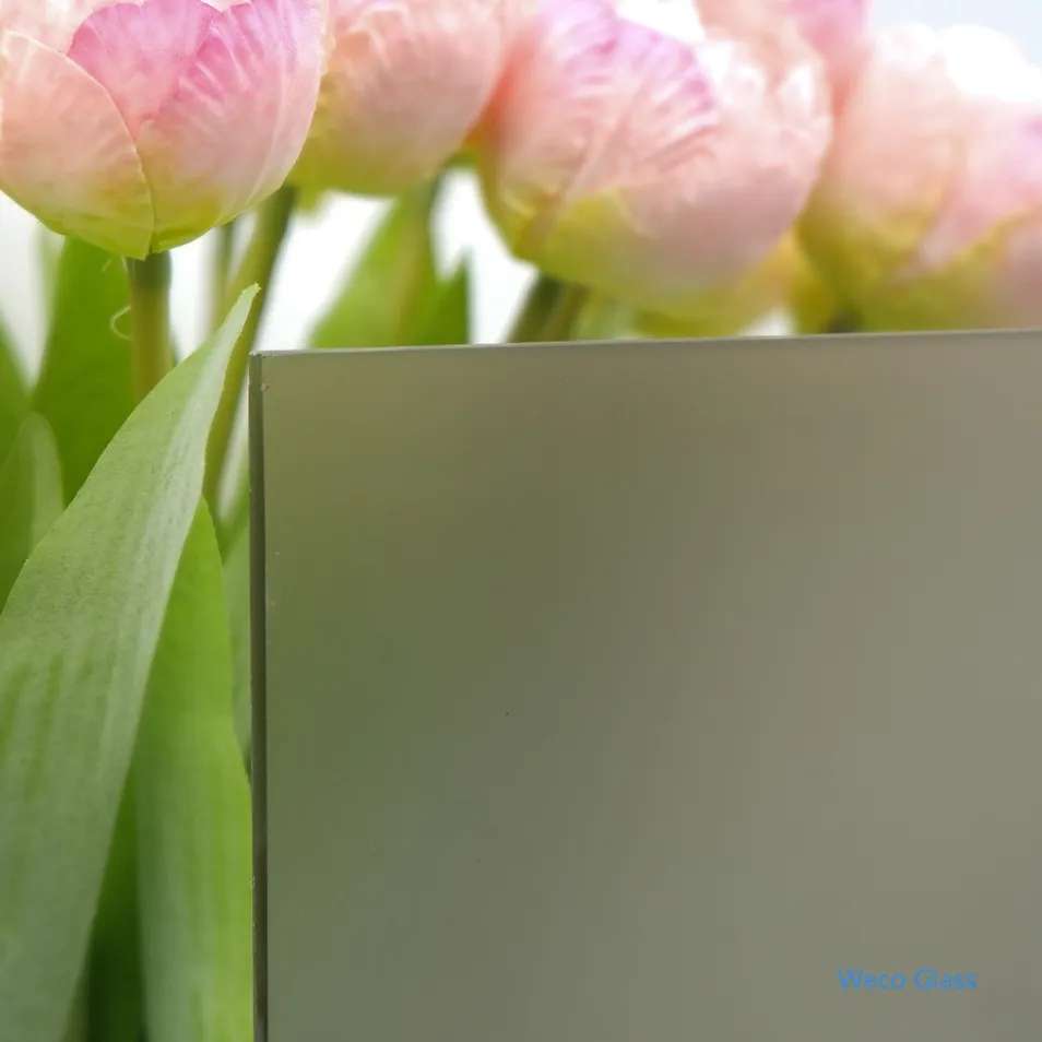 Acid Etched Glass Detail 2