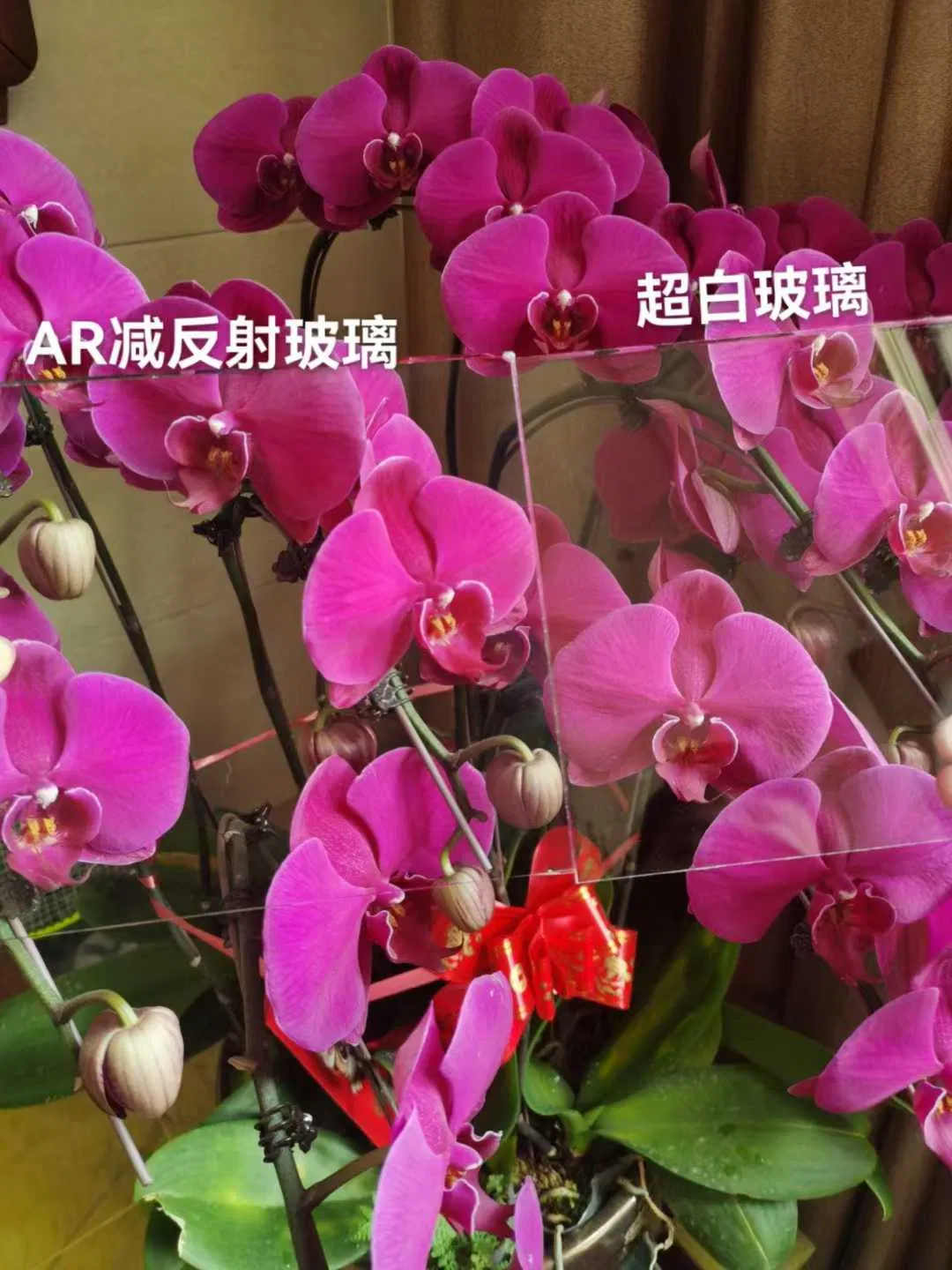 5mm 6mm 8mm Ultra Clear Anti Reflective Glass for Museum Display Cabinet