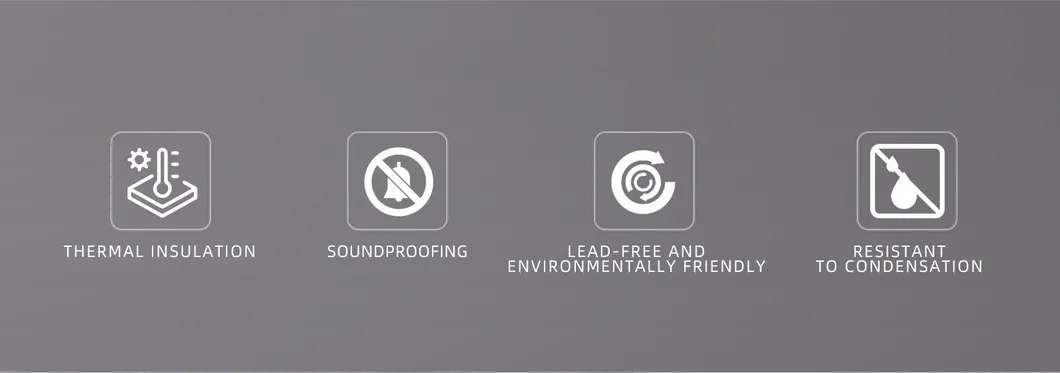 Vacuum Insulating Glass 2