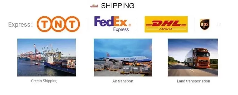 Shipping Logistics