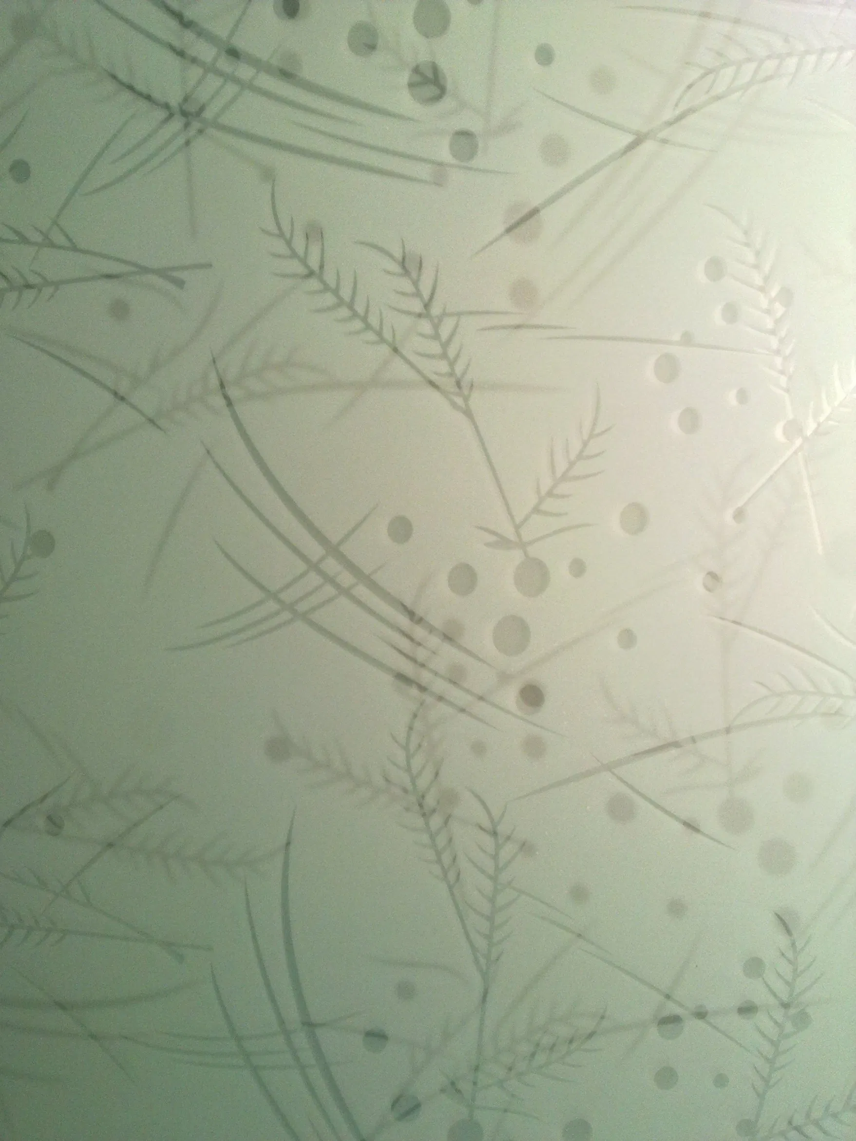 Acid Etched Glass/Frosted Glass/Decorative Glass