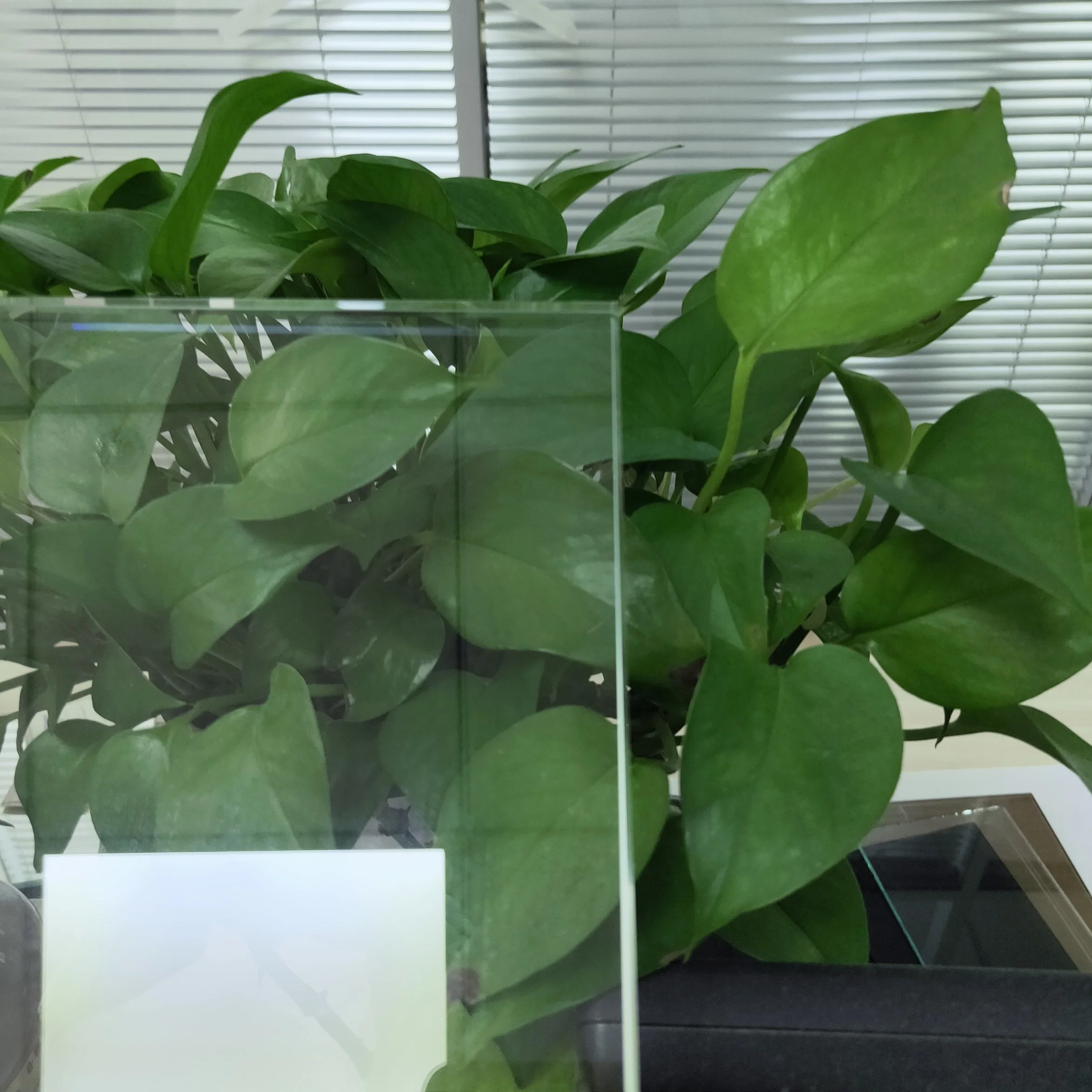 5mm Clear Curved Tempered Glass for Building Glass