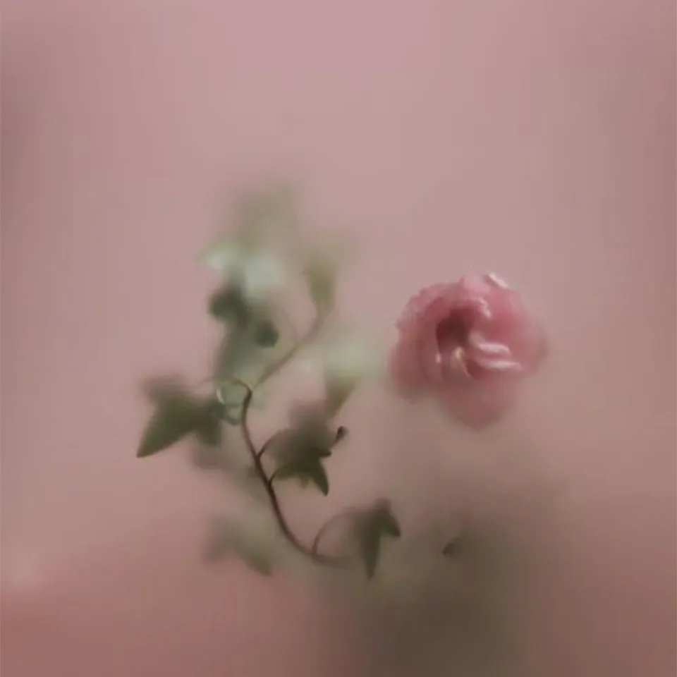 Glass Advantage Display