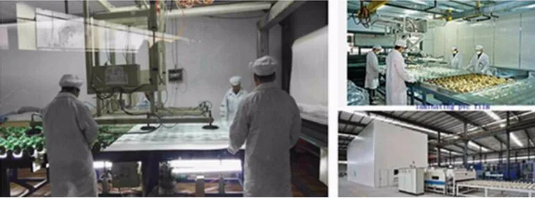 Finished Smart Glass