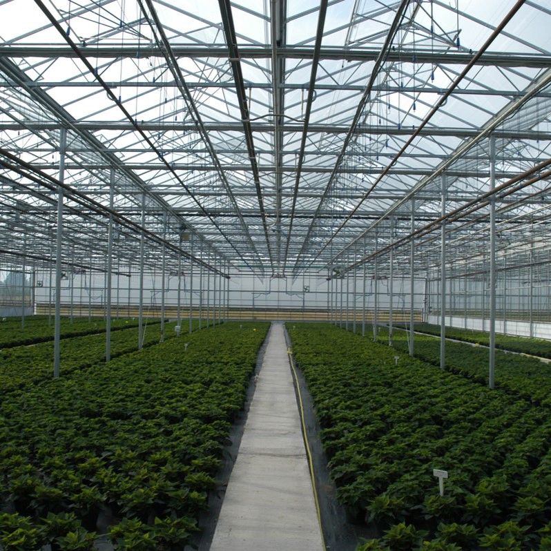 3/4/5mm/High Transmittance/Clear Float/Ultra Clear/Pattern/Greenhouse/Full Window/Building/Facade Walls/Curved/Toughened/Tempered Glass for Agricultural