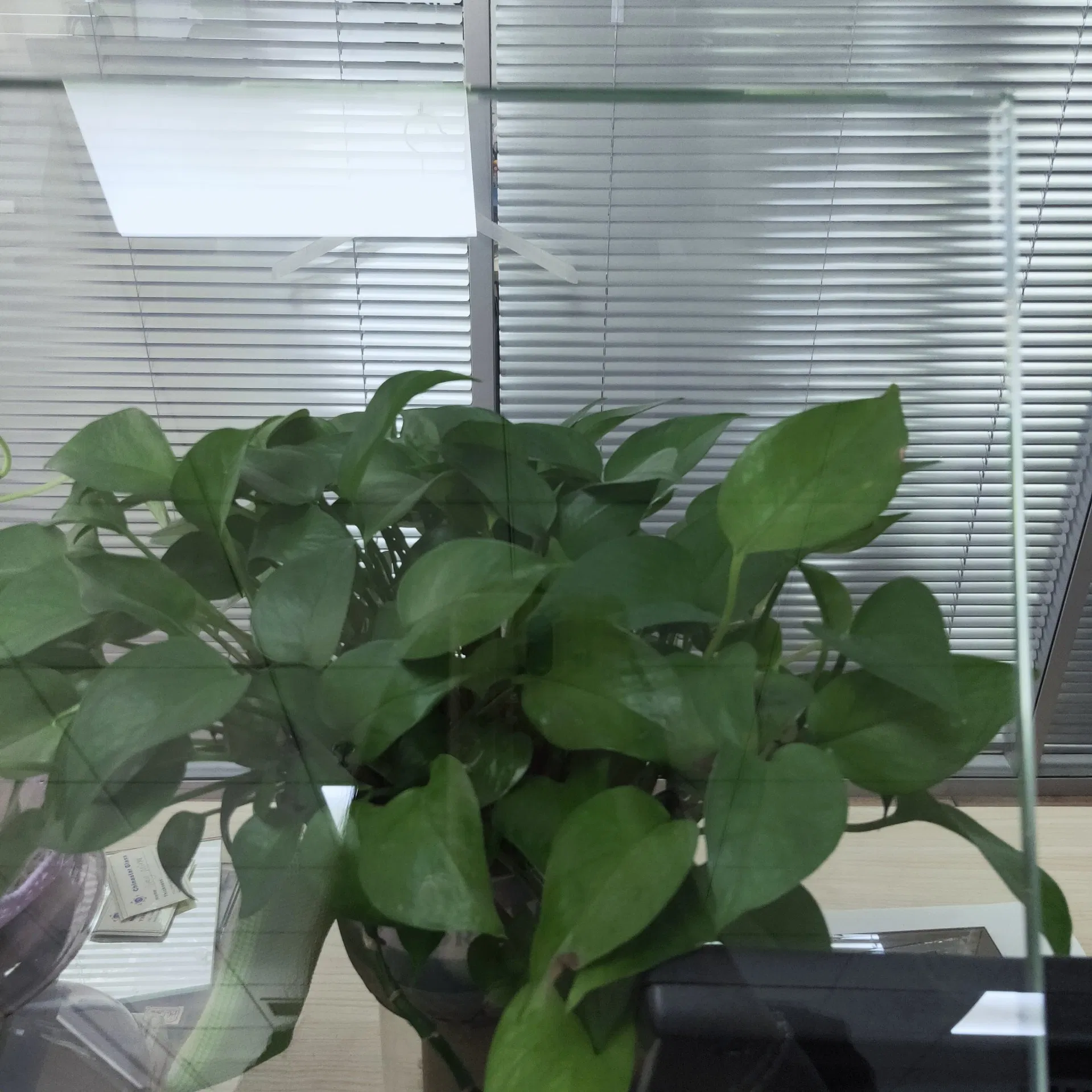 5mm Clear Curved Tempered Glass for Building Glass