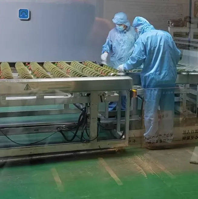 Production Process 1