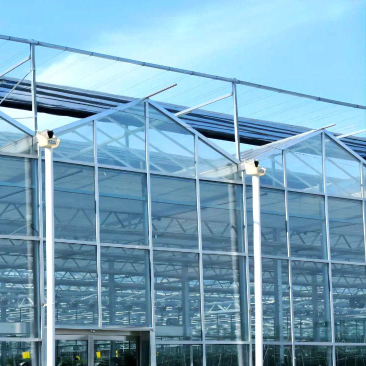 3/4/5mm/High Transmittance/Clear Float/Ultra Clear/Pattern/Greenhouse/Full Window/Building/Facade Walls/Curved/Toughened/Tempered Glass for Agricultural