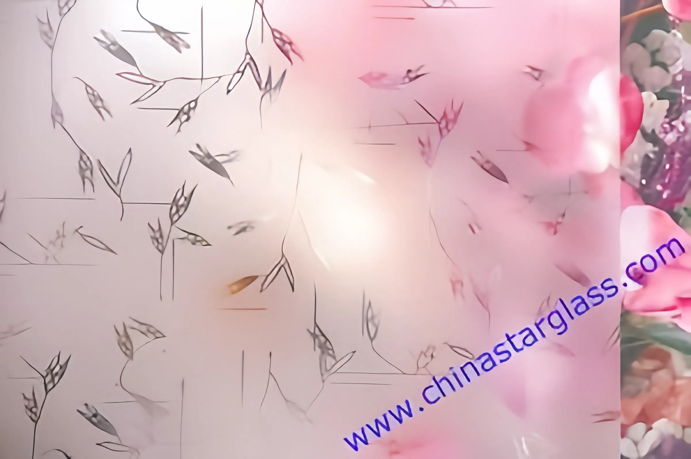 10mm Acid Etched Glass for Decoration/Construction/Bathroom/Commercial Building