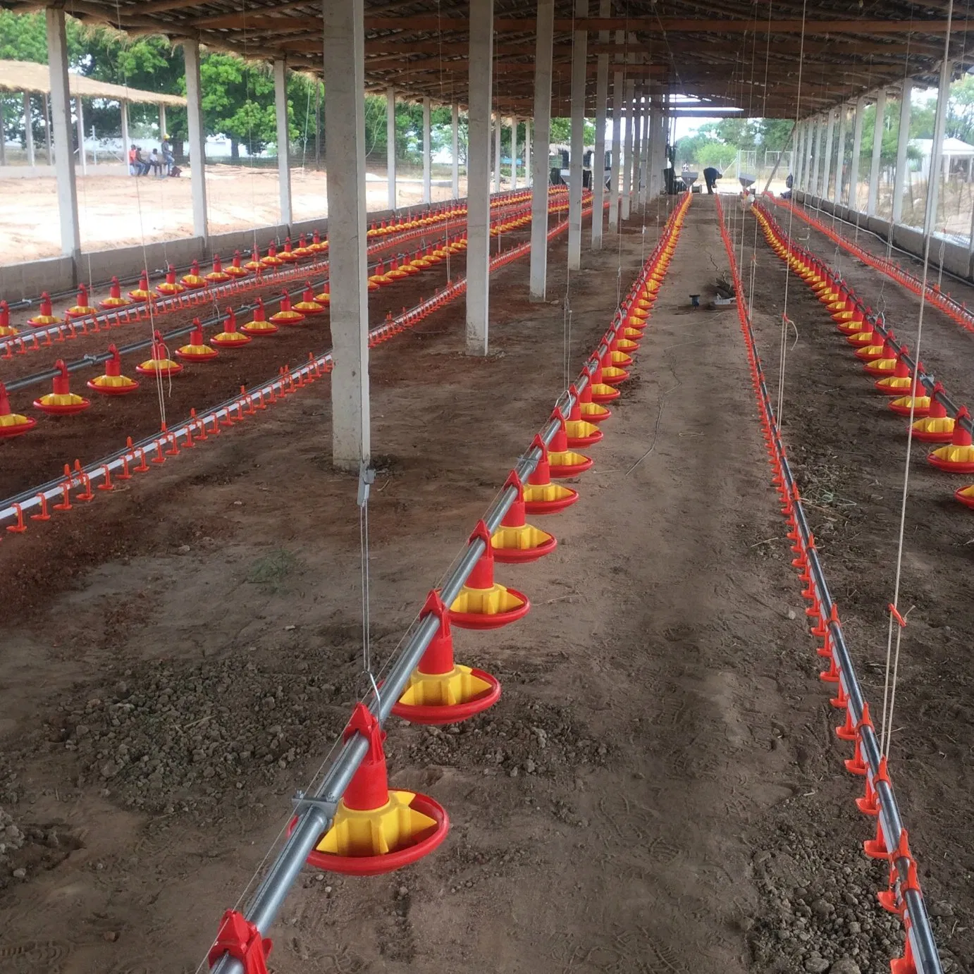 Automatic Feeding and Drinking Line for Poultry Chicken Farm