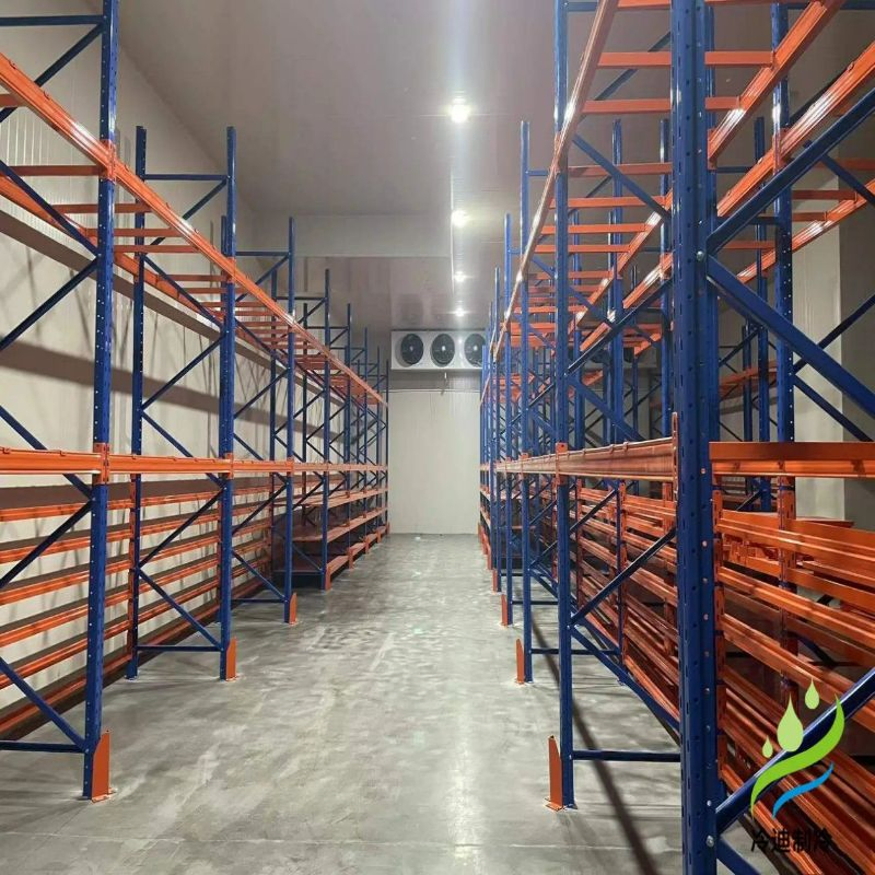 Light Steel Structure Frame Cold Storage with Fast Construction and Quality