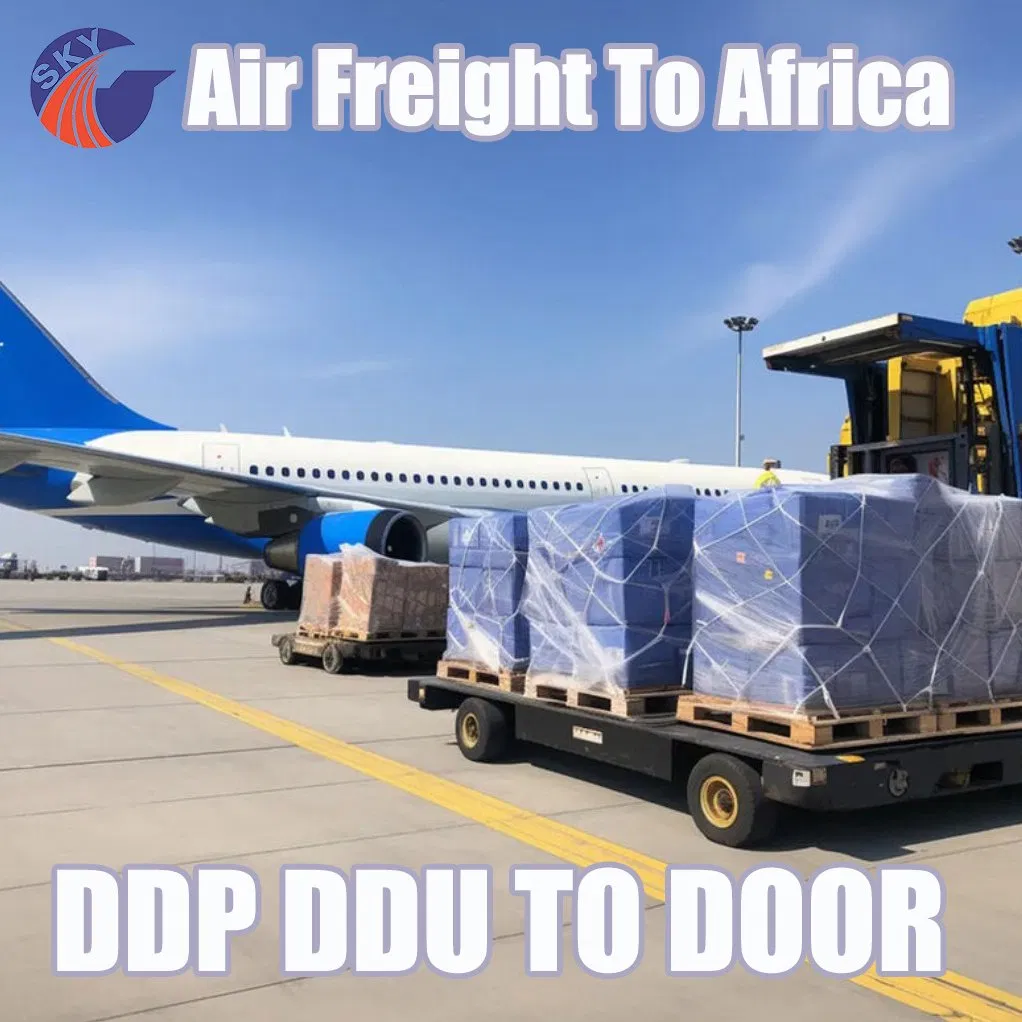 Fast Air Shipping Good Logistics Service Air Freight From China to USA Canada Africa Europe Air Shipping