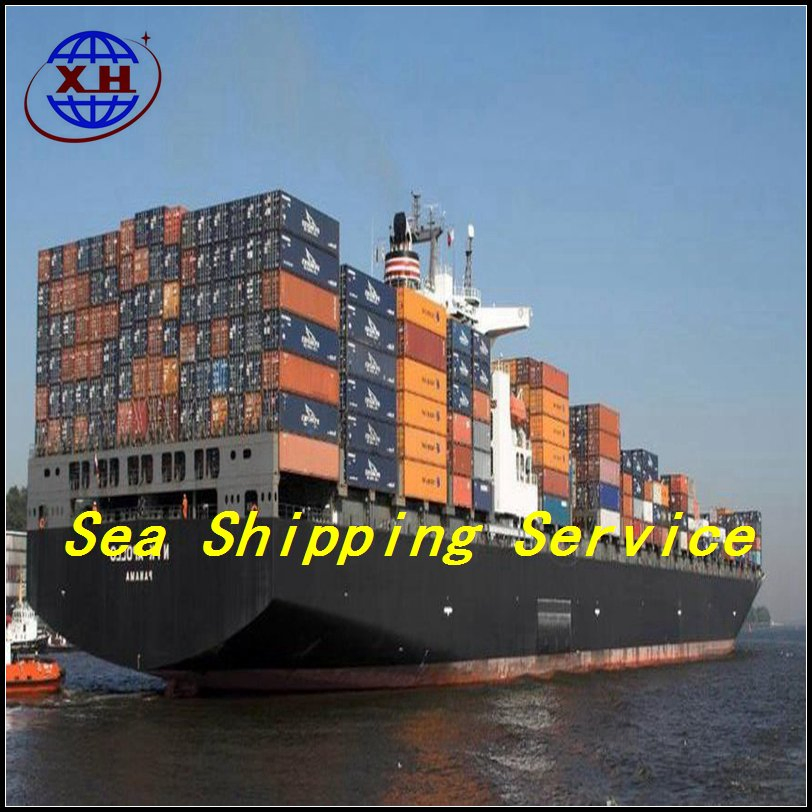 Sea Shipping Logistics Agent Door To Door Service From China To South Africa Freight Forwarder Sea Freight