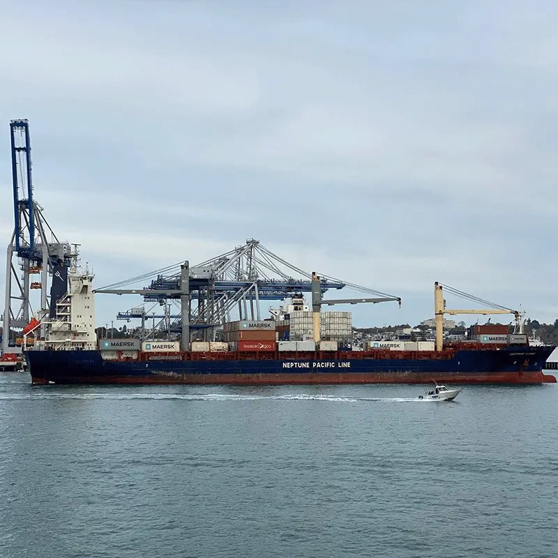 International Shipping to Jeddah Special Direct Line