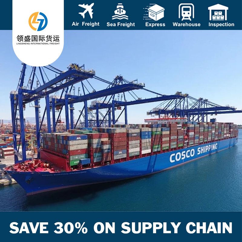 Professional Ocean Freight Forwarding, Ocean Shipping, Logistics Services From China to France/Europe