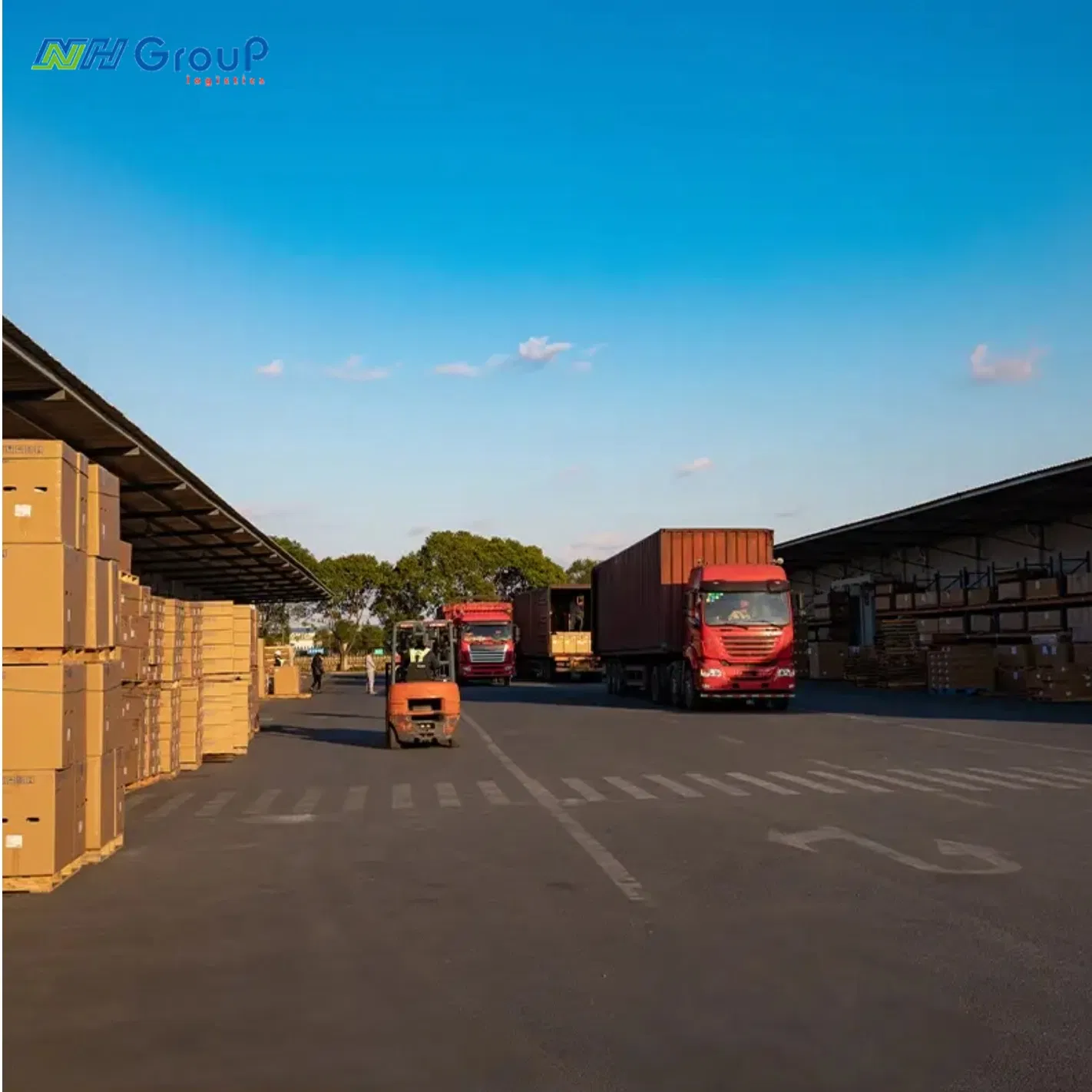 DDU International Express Freight Forwarder to Africa Door to Door Express Delivery