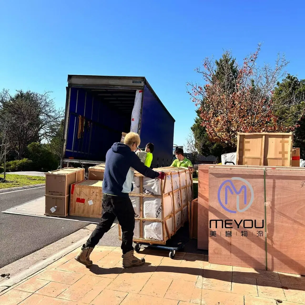 Sea Shipping Agent to Cambodia, Spain, Germany, Thailand, Brazil, Malaysia Logistics Shenzhen/Dongguan Forwarder Agent Forwarding