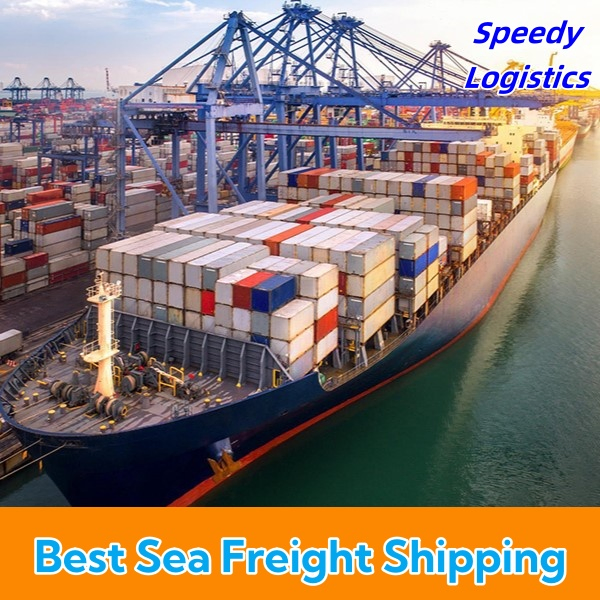 DDP Sea Shipping Agent Freight Forwarder to UK, USA, Germany, Spain, Thailand, Nigeria, Argentina, Vietnam, Netherlands Shipping Company Logistics Service