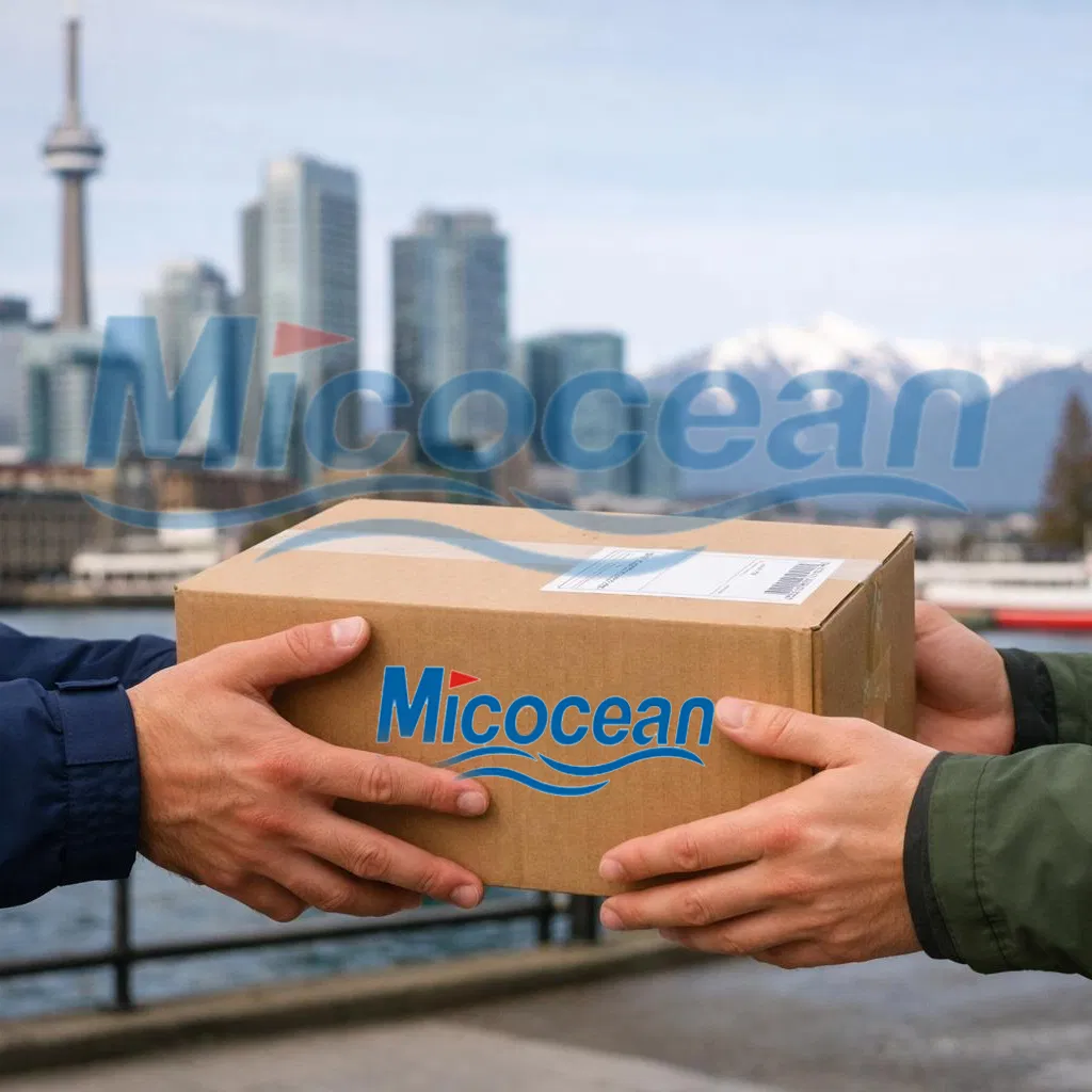 Door-to-Door Shipping Service by Sea: DDP, DDU China to Dubai/Africa/Europe/USA Logistics Freight Forwarder Sea Freight Shipping Agent