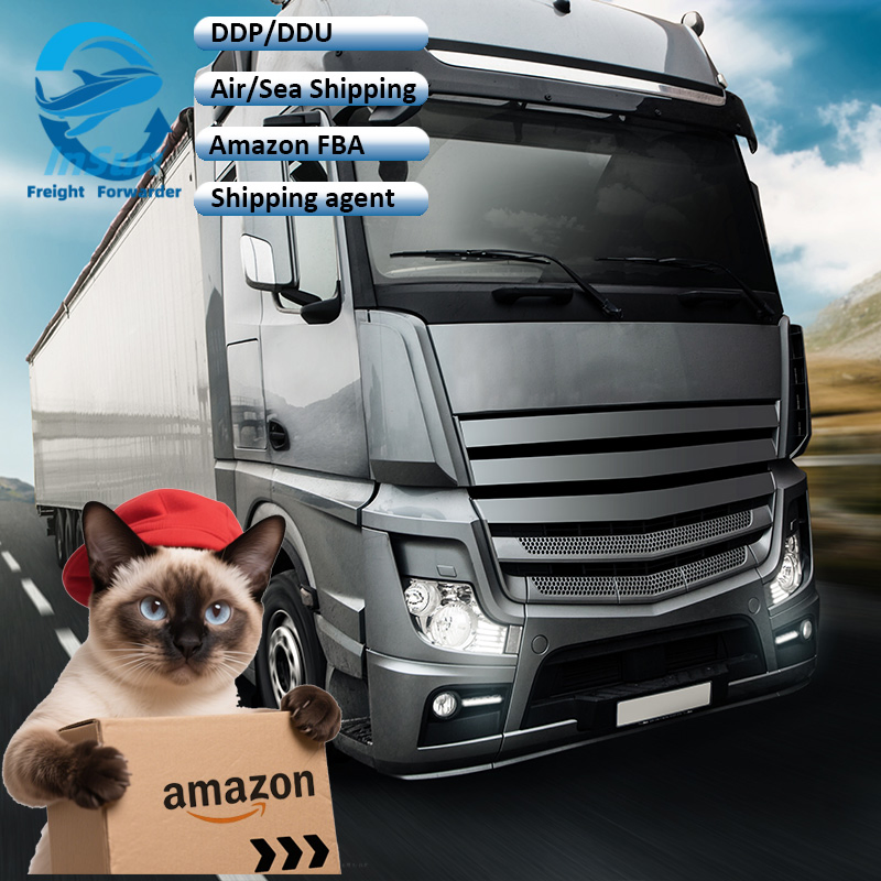 Top 10 International Shipping Company in China Through Air/Sea/Express/Truck Delivery Service to UAE UK USA Europe