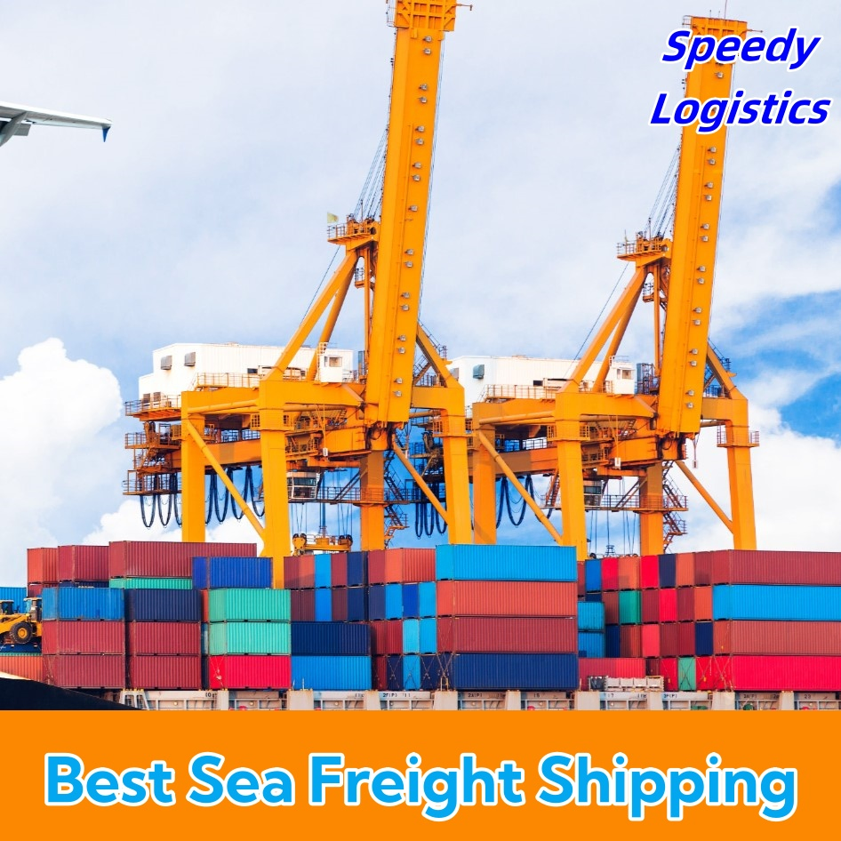 DDP Sea Shipping Agent Freight Forwarder to UK, USA, Germany, Spain, Thailand, Nigeria, Argentina, Vietnam, Netherlands Shipping Company Logistics Service
