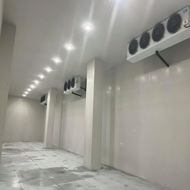 Light Steel Structure Frame Cold Storage with Fast Construction and Quality