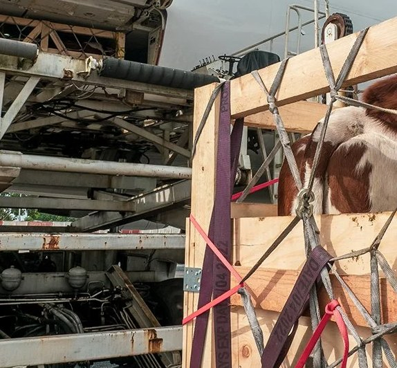 20FT 40hq FCL Container Shipping Price Sea Freight Agent Cargo Forwarde