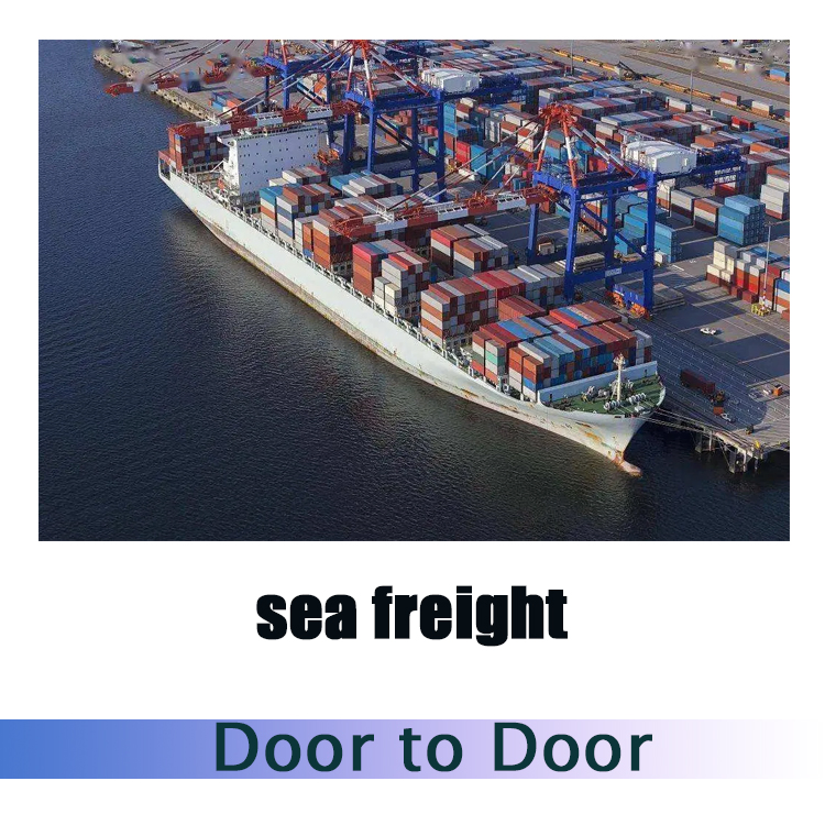 Forwarding Agent Sea Freight Shipping Cost Rates Professional China to Mexico