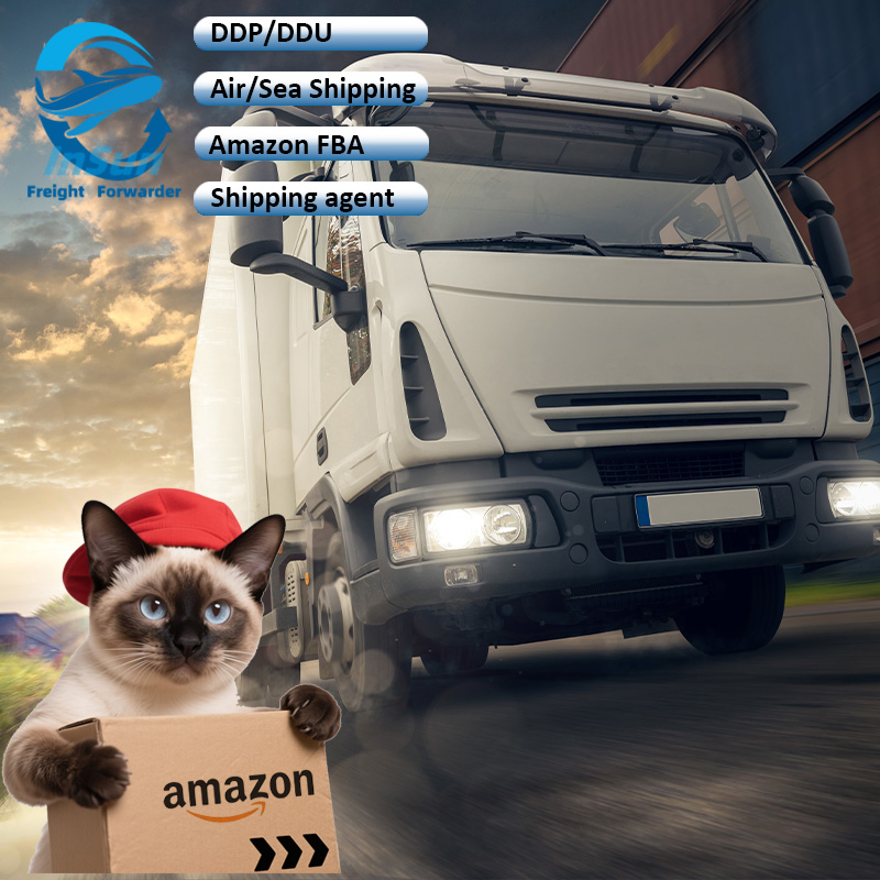 Safe and Efficient Sea Air Shipping Affordable Price Excellent Service to Netherlands Denmark Spain From China