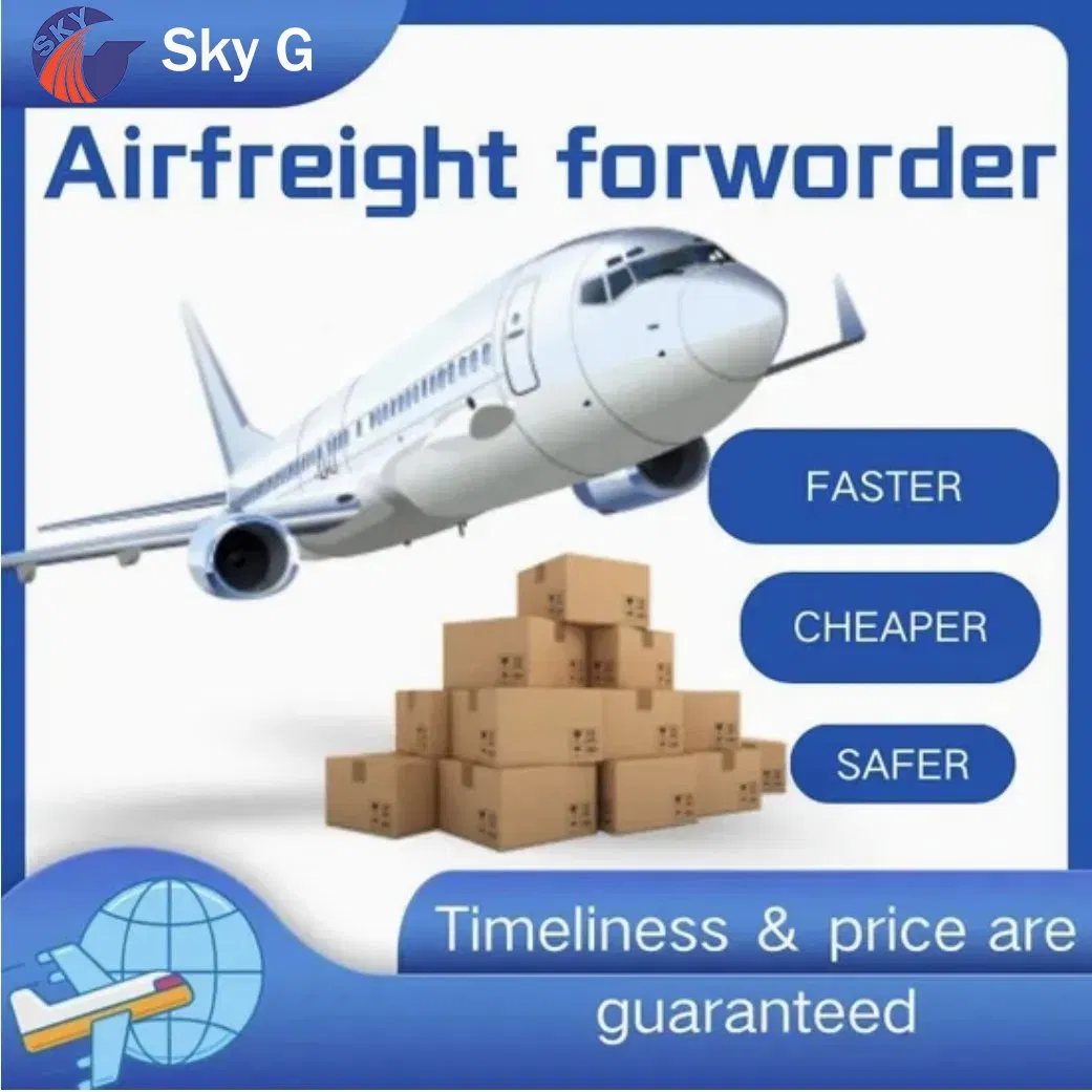 Reliable Forwarder Logistics Services DDP Shipping Agent Express to Africa Algeria Congo Fast Air Freight